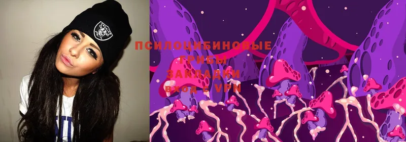 Галлюциногенные грибы Magic Shrooms  Кингисепп 